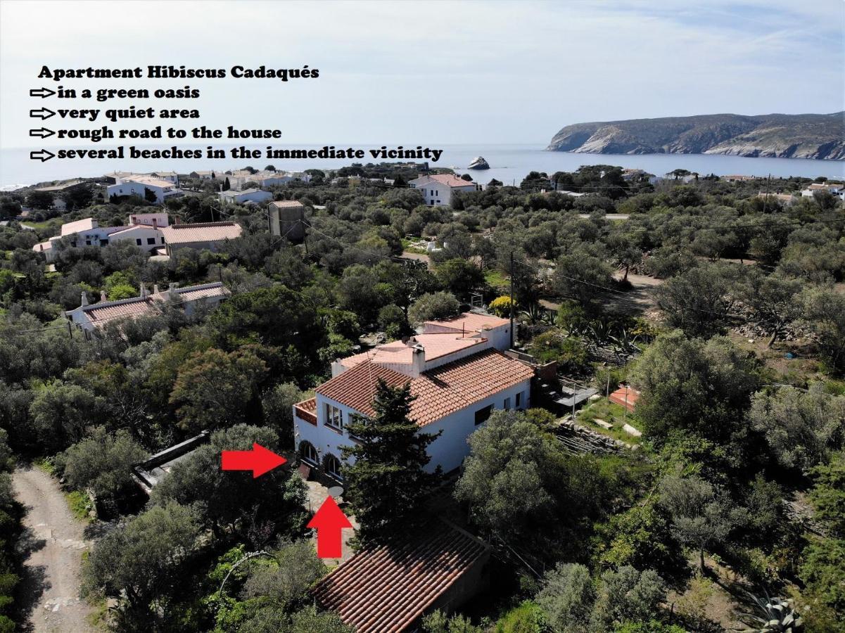 Apartment Hibiscus Cadaqués Buitenkant foto